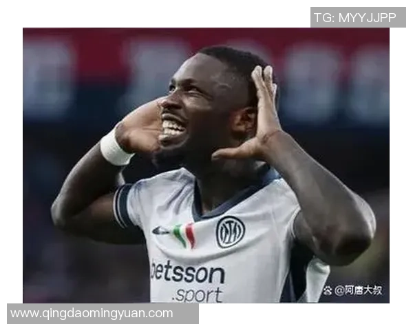 意甲焦点战维罗纳主场迎战佛罗伦萨双方争夺关键积分之战